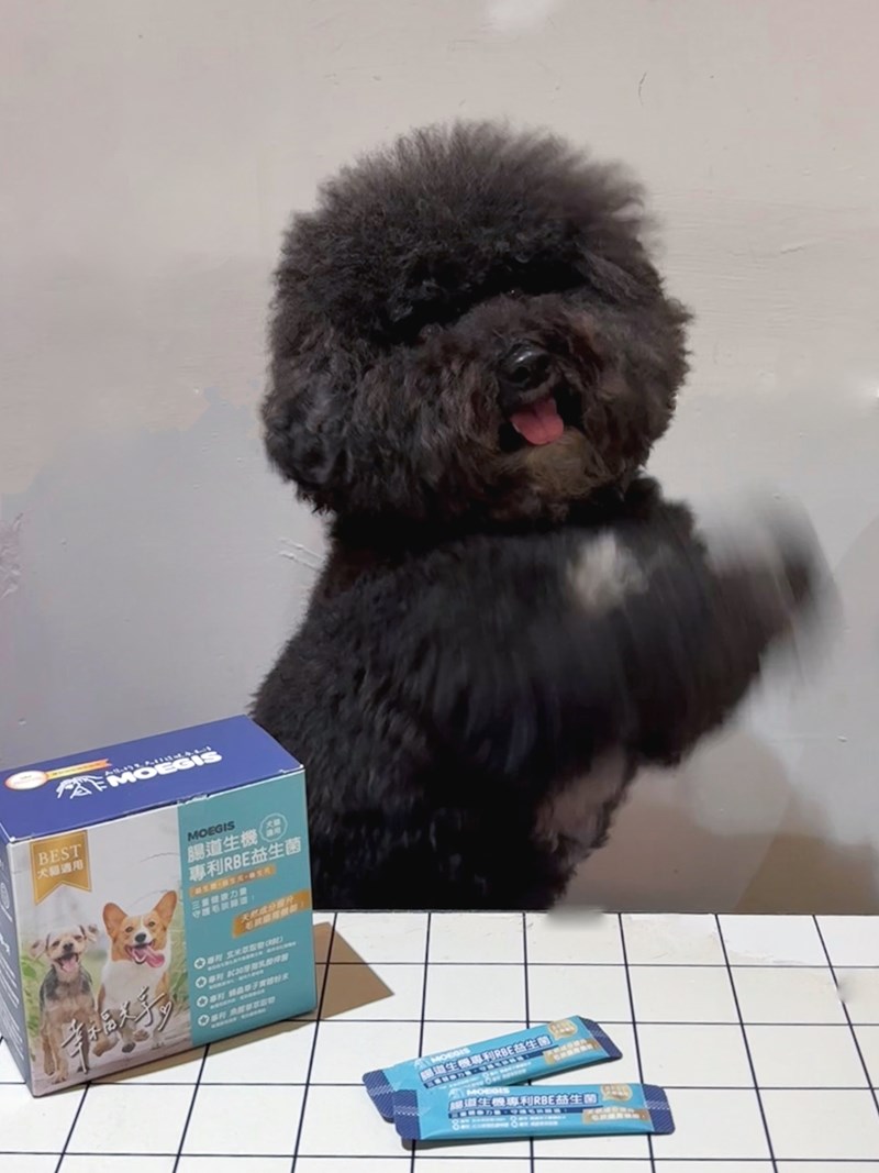 女人知己試用大隊,口碑行銷,部落客行銷,Moegis萌吉 腸道生機專利RBE益生菌,寵物益生菌,專利RBE益生元,專利蔬果酵素,小分子胜肽,藍藻粉,維持免疫力,幫助維持消化道機能,維持正常食慾,改變細菌叢生態,腸胃保健,犬貓適用